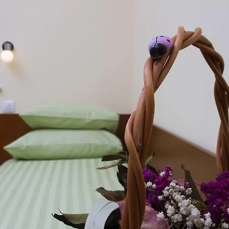 Snek * Banja Luka